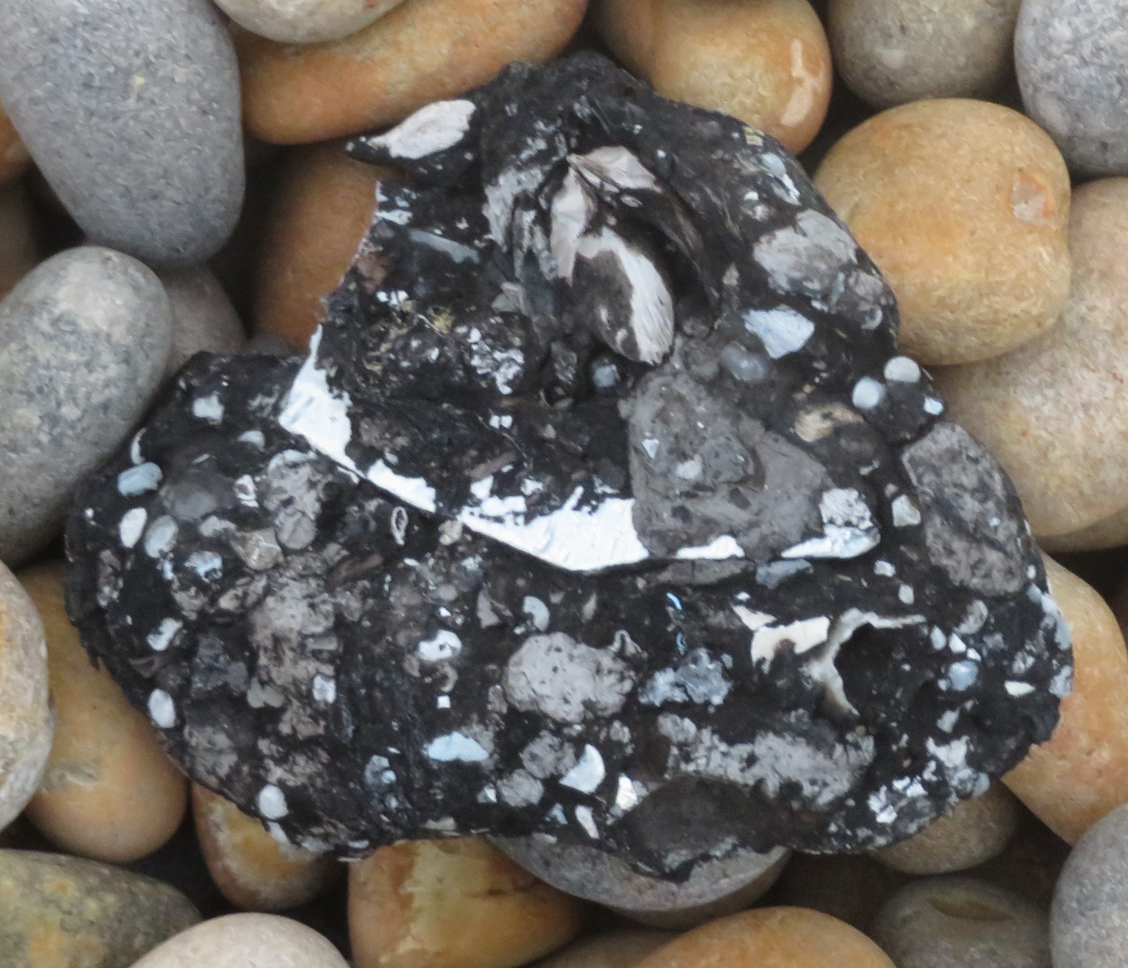 Chesil Beach Pebbles & Waves – Jessica's Nature Blog