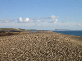 Beach south