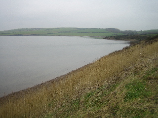 Cove looking north-west