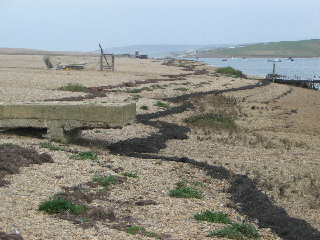 Chesil shoreline